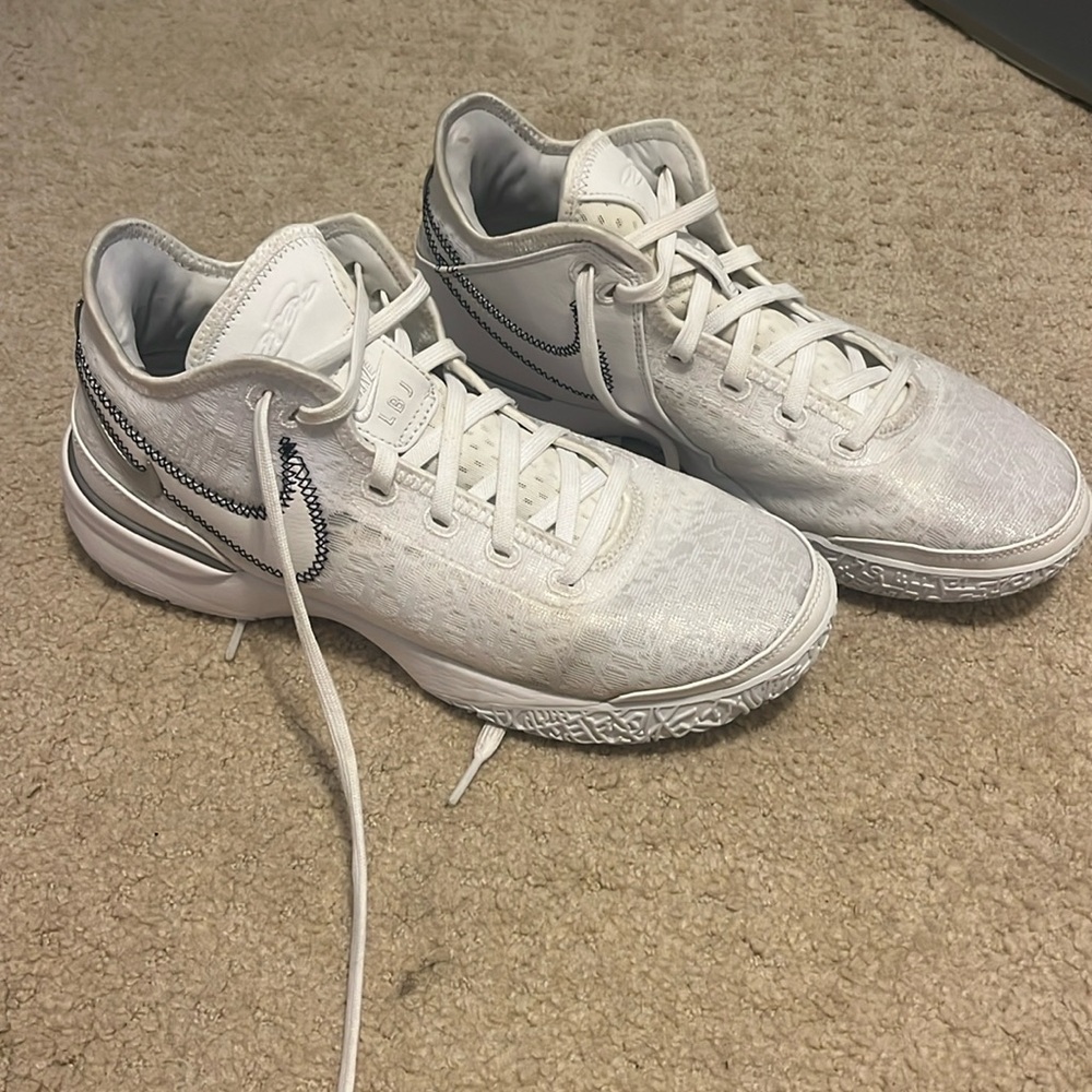 Nike LeBron basketball shoes